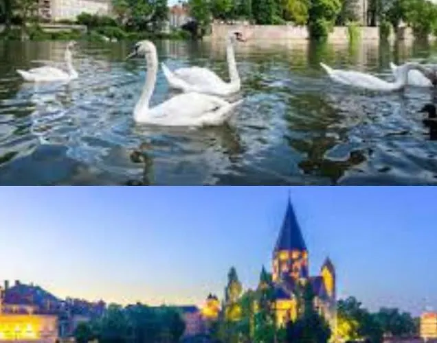 Le Cocon Loft Metz Luxembourg Un-sejour-a-part Apartment Amneville